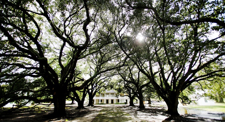 The Whitney Plantation in Wallace, Louisiana has been opened to the public as a historical slave plantation and museum